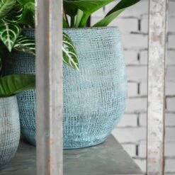 Ryan Plant Pot - Blue Gold 23 Ryan Plant Pot - Blue Gold -Indoor Plants RyanPlantPot BlueGold 4 min