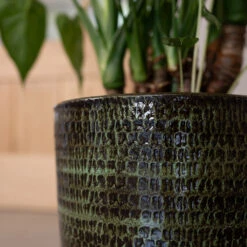 Sanna Plant Pot - Moss Green -Indoor Plants Sanna Moss Green 2
