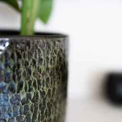 Sanna Plant Pot - Moss Green -Indoor Plants Sanna Moss Green 5