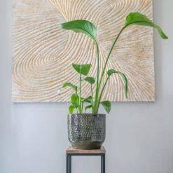 Sanna Plant Pot - Moss Green -Indoor Plants Sanna Moss Green 7