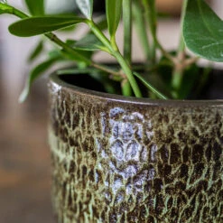 Sanna Plant Pot - Moss Green -Indoor Plants Sanna Moss Green 9