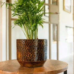 Sanna Plant Pot - Savanna -Indoor Plants Sanna Savana 4