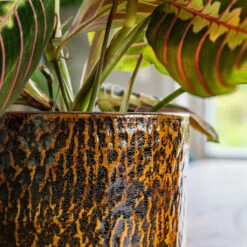 Sanna Plant Pot - Savanna -Indoor Plants Sanna Savana 6