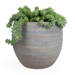 Dex Plant Pot - Earth -Indoor Plants Sedum Burrito Donkey Tail 14x20cm Dex Plant Pot Earth 22x20cm