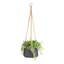 Patt Hanging Plant Pot - Black Washed -Indoor Plants Senecio peregrinus String of Dolphins 15x25cm Patt Hanging Plant Pot Black Washed 20x17cm 9dbfe7a9 3c90 4a77 a878 0073280b96dc