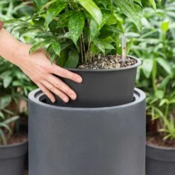 Solid Cylinder Planter - Dark Grey -Indoor Plants Solid Cylinder Planter Dark Grey 1