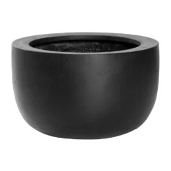 Sunny Natural Bowl Planter - Black 7 Sunny Natural Bowl Planter - Black -Indoor Plants Sunny Natural Planter Black 33x20cm