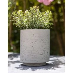 Suzi Plant Pot - Grey Washed -Indoor Plants Suzi Plant Pot Grey Washed Outdoor Plant