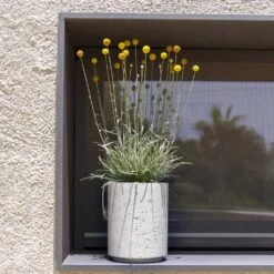 Suzi Plant Pot - Grey Washed -Indoor Plants Suzi Plant Pot Grey Washed Outdoor Plants