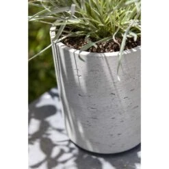 Suzi Plant Pot - Grey Washed -Indoor Plants Suzi Plant Pots Grey Washed Close Up