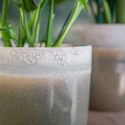 Tarra Plant Pot - Forest -Indoor Plants Tarra3
