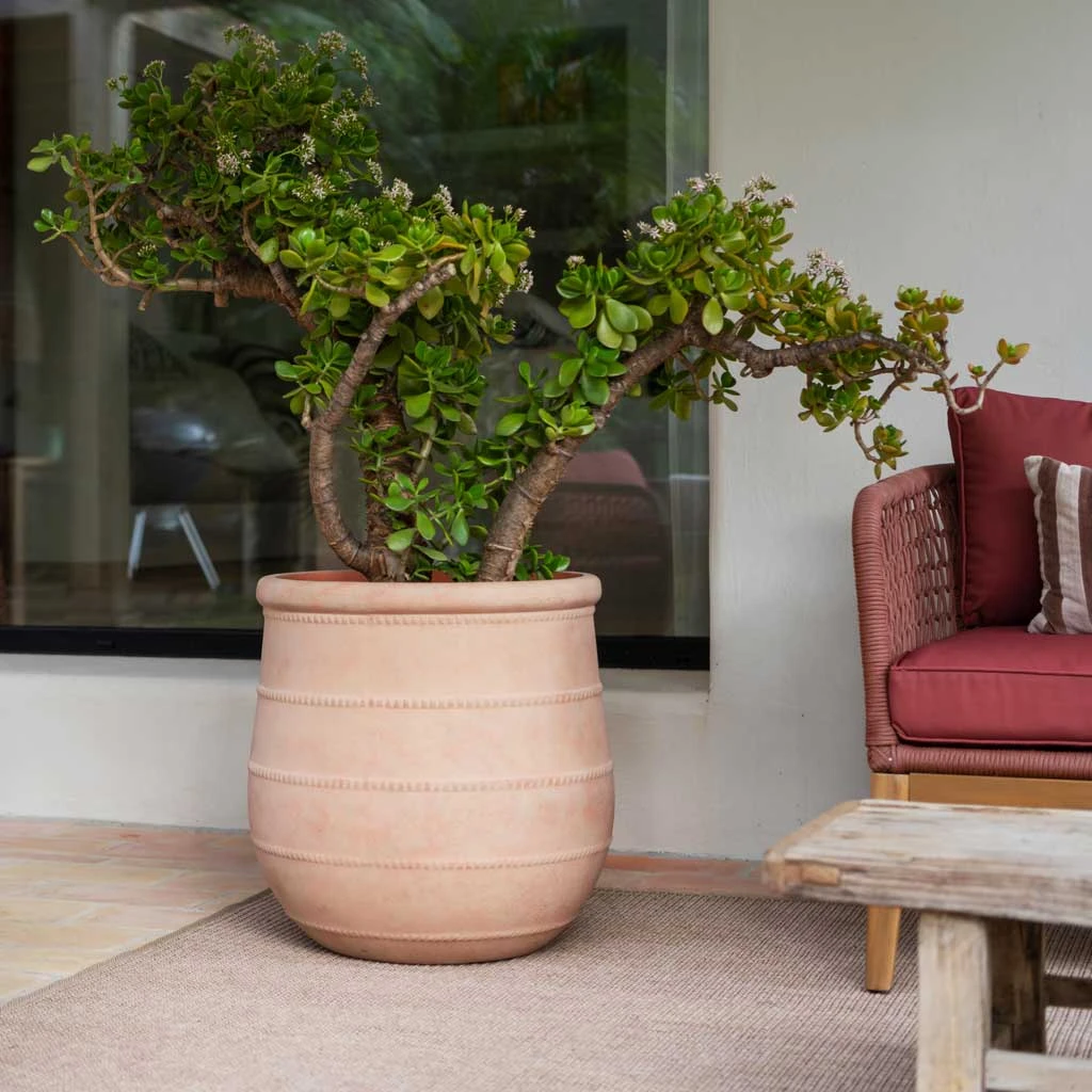 Treasure Nika Planter - Brick Orange 3 Treasure Nika Planter - Brick Orange - Image 3