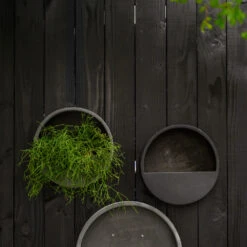 Wally Natural Wall Planter - Black 9 Wally Natural Wall Planter - Black -Indoor Plants WallyNaturalWallPlanter Black 4