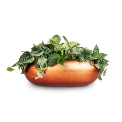 Metallic Boat Planter - Matt Copper -Indoor Plants White Wonder Satin Pathos Metallic Boat Planter Matt Copper 56x23x20cm