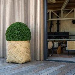 Zayn Bamboo Planter -Indoor Plants Zayn Bamboo Planter Box Hedge