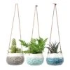 Baby Dotty Hanging Indoor Pot Trio