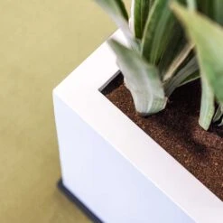 Block Essentials Planter - Matt White 14 Block Essentials Planter - Matt White -Indoor Plants block planter essential matte white edge