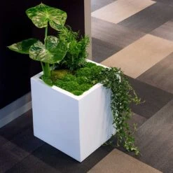 Block Essentials Planter - Matt White 13 Block Essentials Planter - Matt White -Indoor Plants block planter essential matte white indoor plants cube