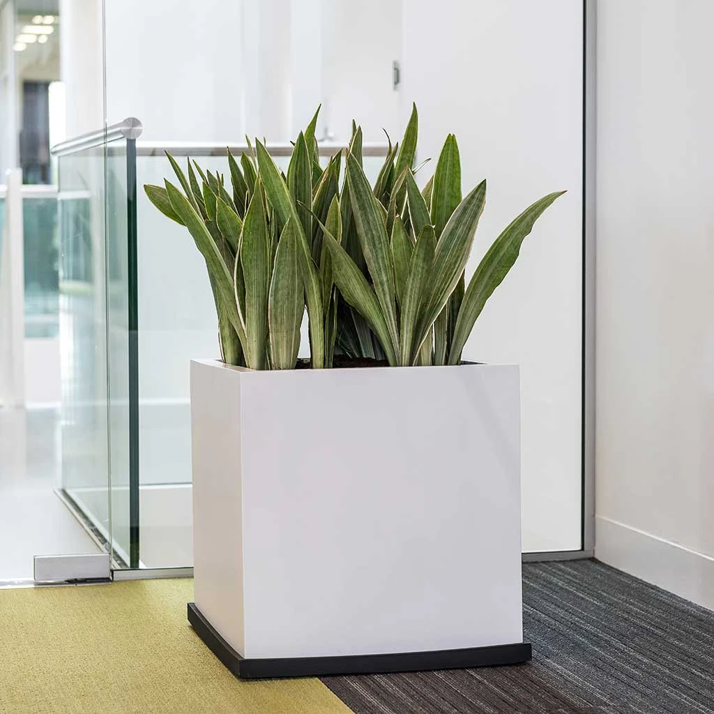 Block Essentials Planter - Matt White 2 Block Essentials Planter - Matt White - Image 2