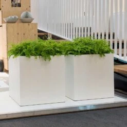 Block Essentials Planter - Matt White 16 Block Essentials Planter - Matt White -Indoor Plants block planters essential matte white indoor ferns