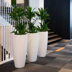 Dax Essentials Tall Planter - Matt White -Indoor Plants dax planter essential matte white open plan office
