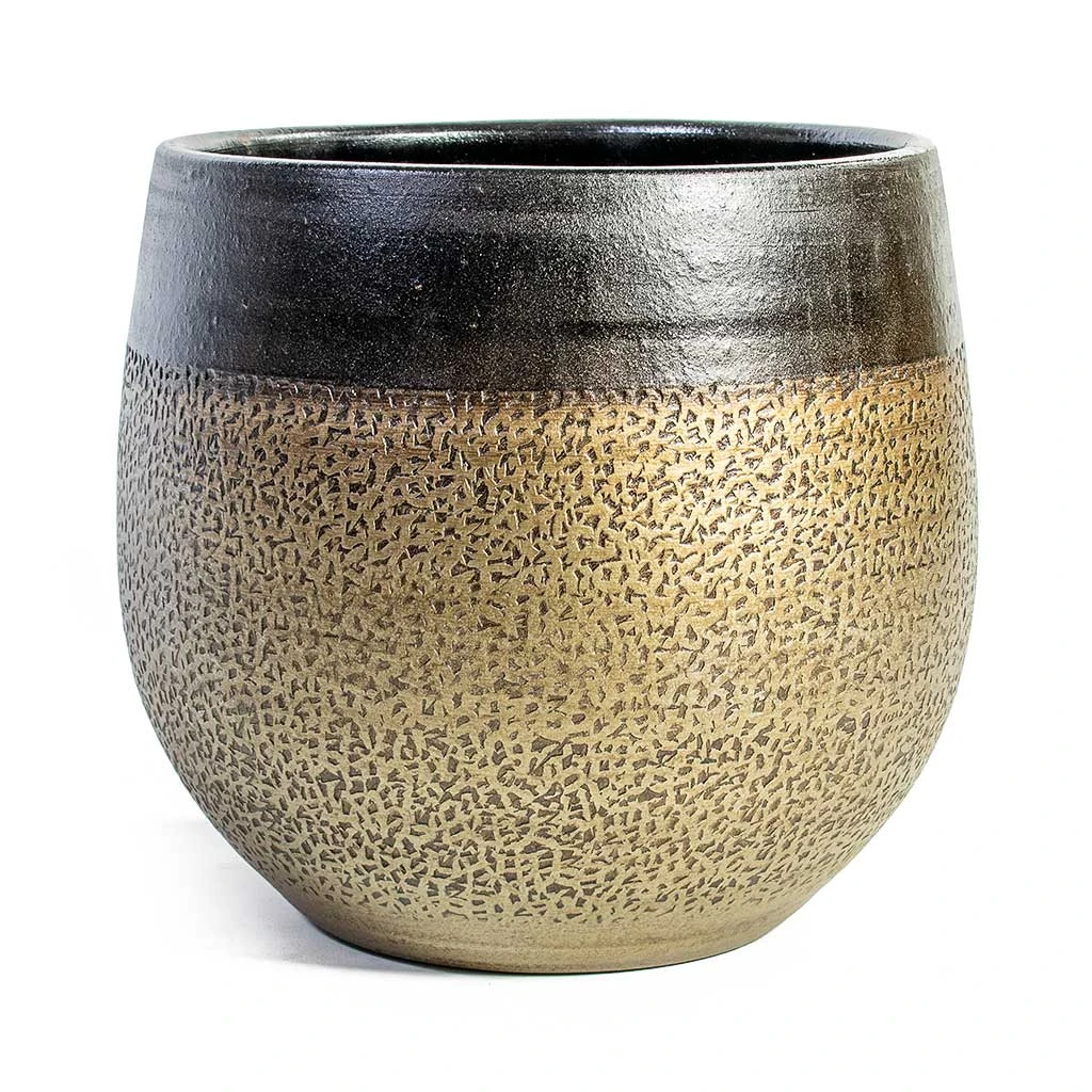 Mya Plant Pot - Deep Champagne 1 Mya Plant Pot - Deep Champagne