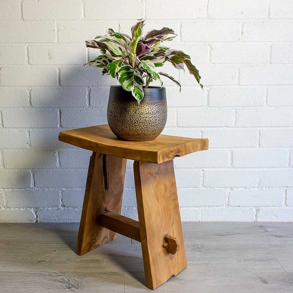 Mya Plant Pot - Deep Champagne 5 Mya Plant Pot - Deep Champagne - Image 5