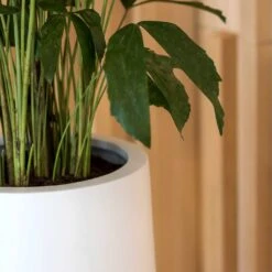 Nax Essentials Tall Planter - Matt White 8 Nax Essentials Tall Planter - Matt White -Indoor Plants nax planter essential matte white edge