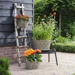 Paula Wikr Plant Baskets - Set Of 4 - Natural -Indoor Plants paula wicker plant baskets set of 4 natural lifestyle 001