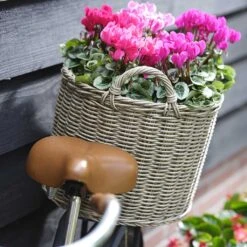 Paula Wikr Plant Baskets - Set Of 4 - Natural -Indoor Plants paula wicker plant baskets set of 4 natural lifestyle 002