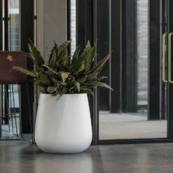 Pax Essentials Planter - Matt White -Indoor Plants pax planter essential matte white office plants