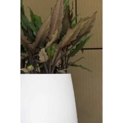 Pax Essentials Planter - Matt White -Indoor Plants pax planters essential matte white clos up