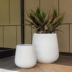 Pax Essentials Planter - Matt White -Indoor Plants pax planters essential matte white office plants
