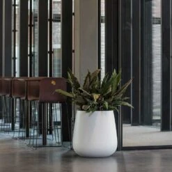 Pax Essentials Planter - Matt White -Indoor Plants pax planters essential matte white office reception plants