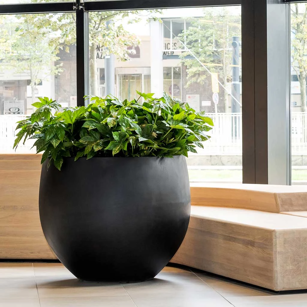 Jumbo Orb Natural Orb Planter - Black 2 Jumbo Orb Natural Orb Planter - Black - Image 2